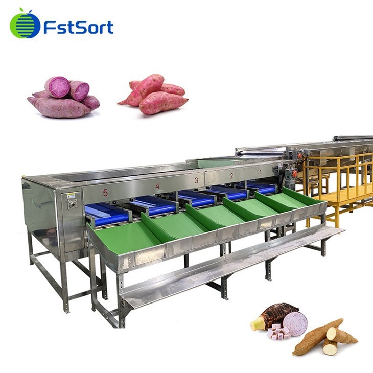 sweet potato cleaning grading line