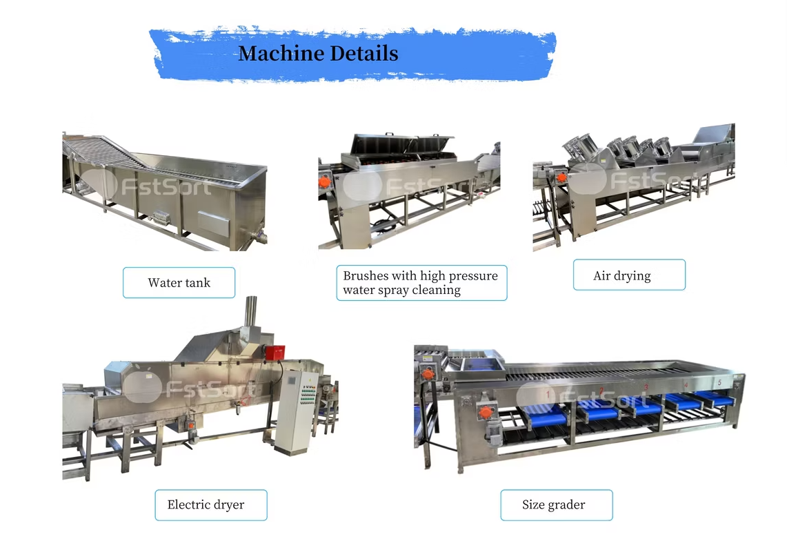 b105ee20-eac0-421c-af81-769c469fef47