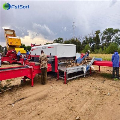 Høgur - Kartoffel optisk sorteringsmaskina við mest møguligum effektiviteti